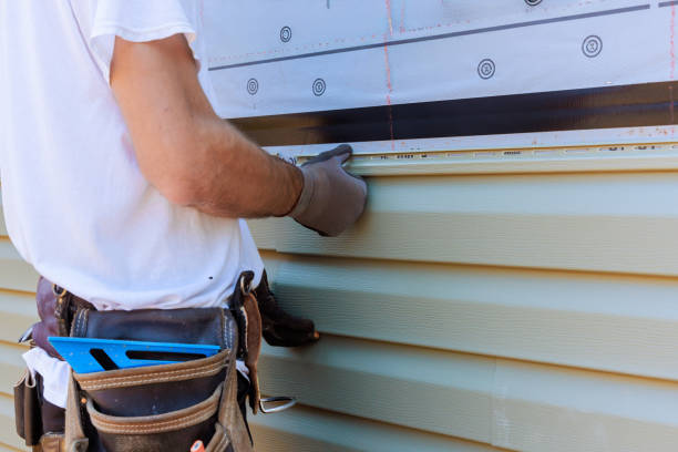 Affordable Siding Repair solutions in Capron, IL